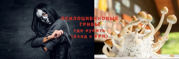 шишки Баксан