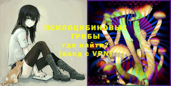 шишки Баксан