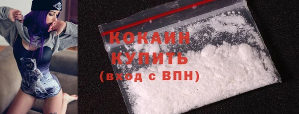 шишки Баксан