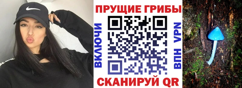Псилоцибиновые грибы Magic Shrooms  Купить  Горнозаводск 